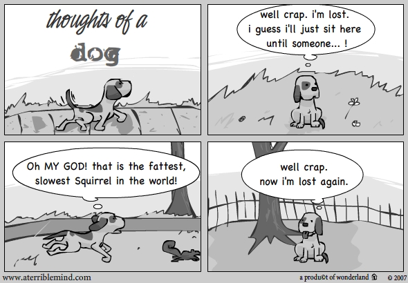 Thoughts of a dog