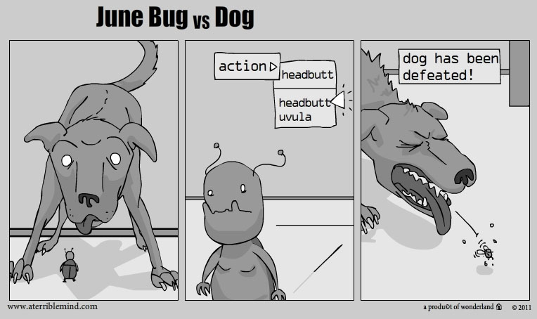 Junebug vs Dog